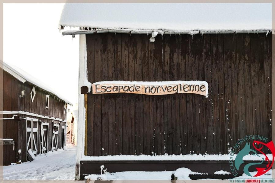 Escapade Norvegienne Apartman Tolga Kültér fotó