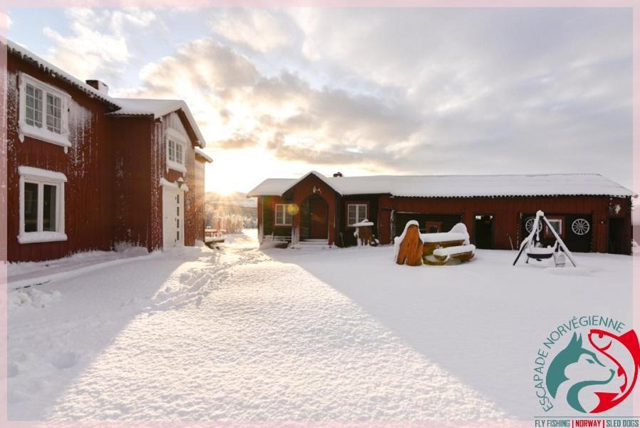 Escapade Norvegienne Apartman Tolga Kültér fotó