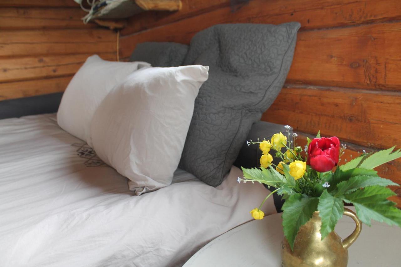 Escapade Norvegienne Apartman Tolga Kültér fotó