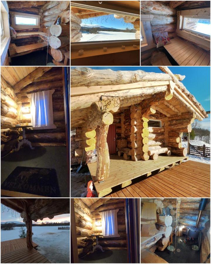 Escapade Norvegienne Apartman Tolga Kültér fotó