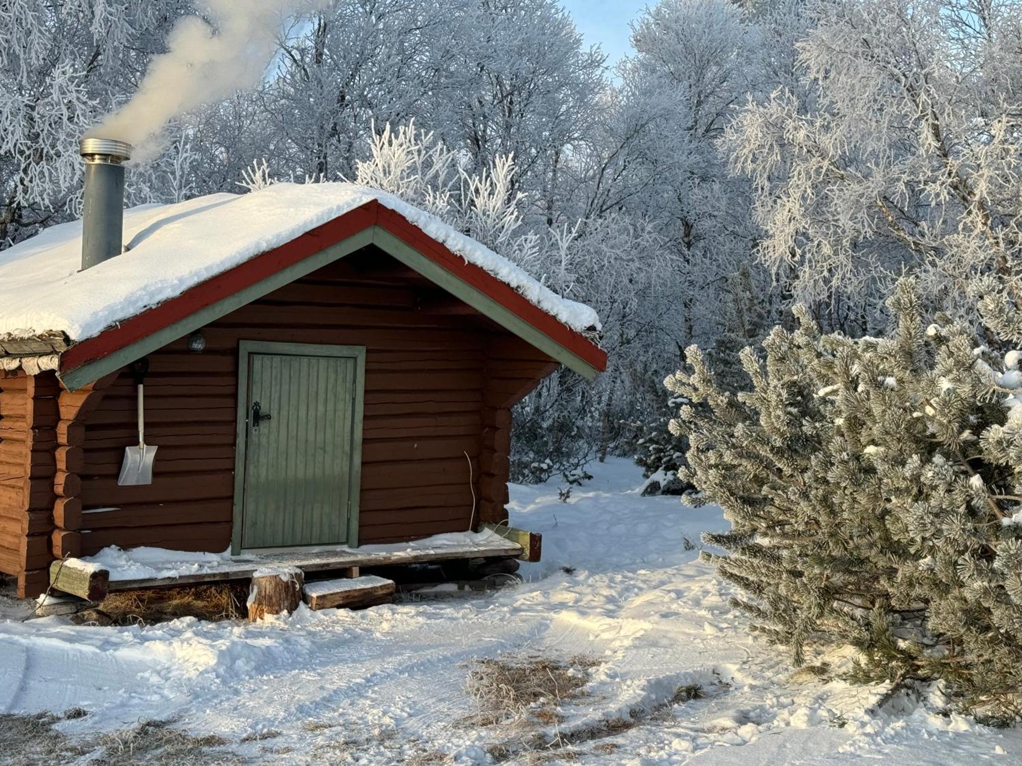 Escapade Norvegienne Apartman Tolga Kültér fotó